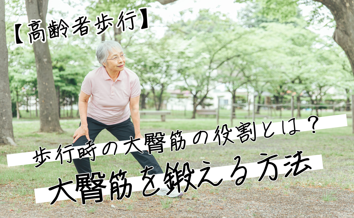 大 臀 筋 歩行