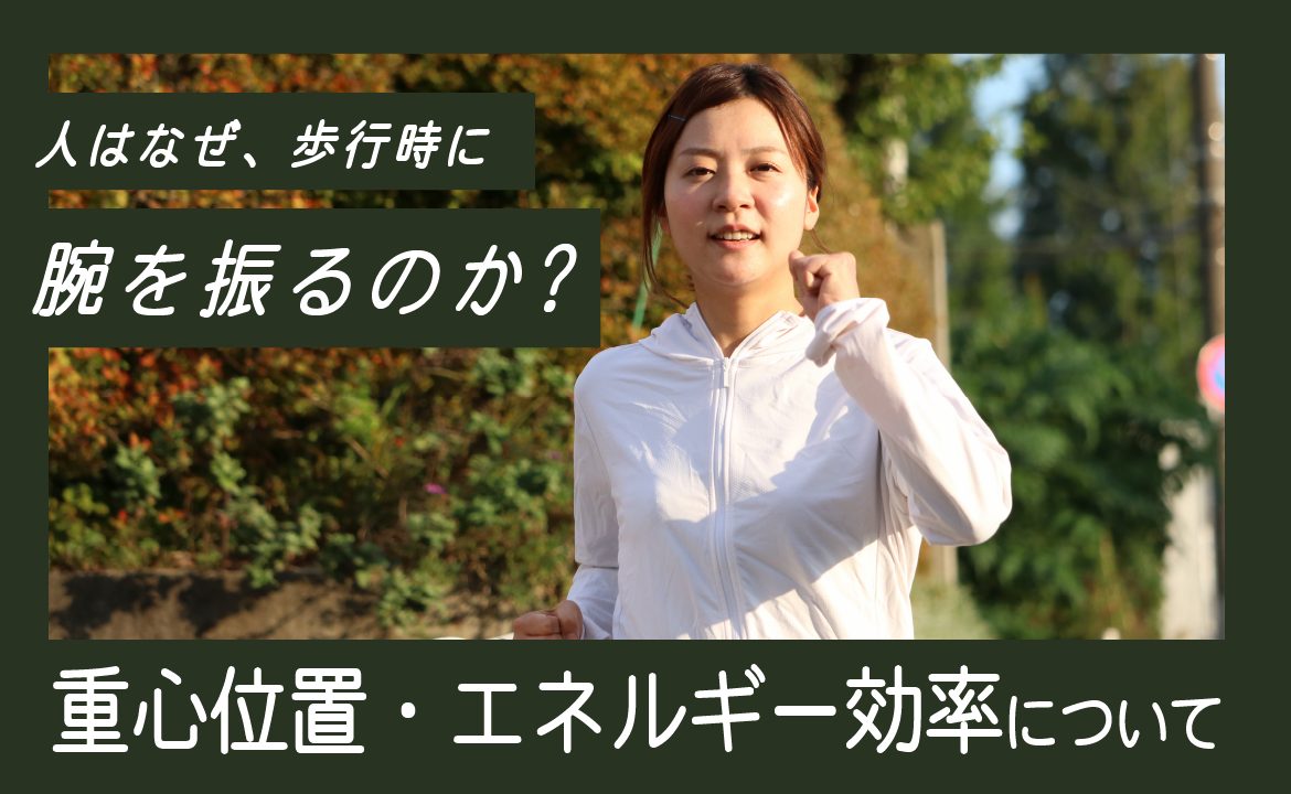 人はなぜ 歩行時に腕を振るのか 重心位置 エネルギー効率について 歩行分析システム Ayumi Eye