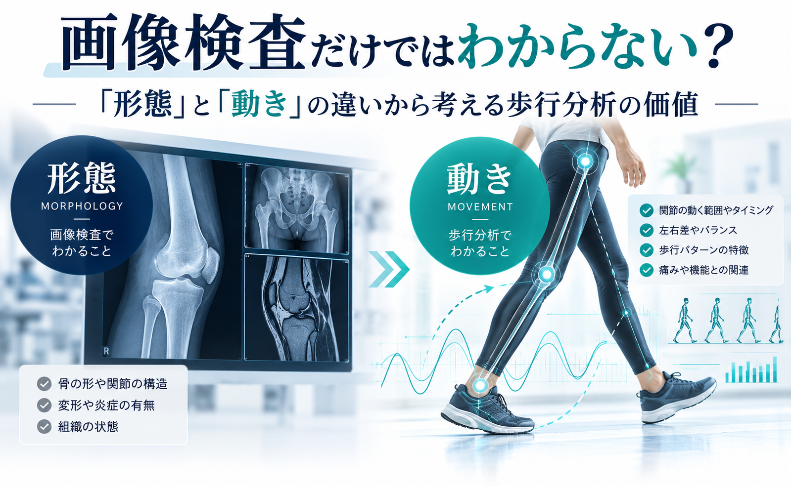 画像検査だけではわからない？「形態」と「動き」の違いから考える歩行分析の価値
